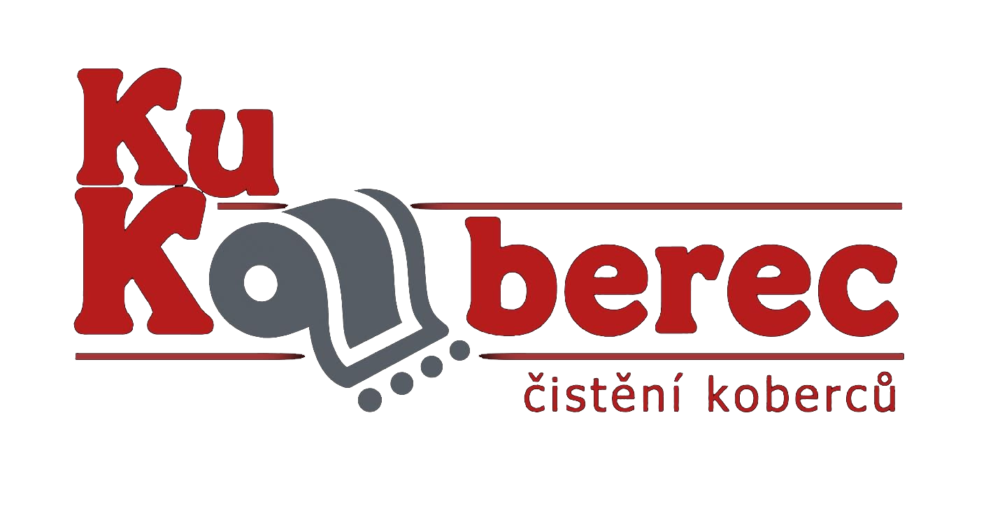 Čištění sedaček Beroun